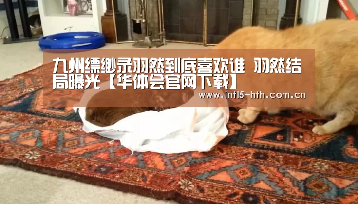 华体会官方网站入口