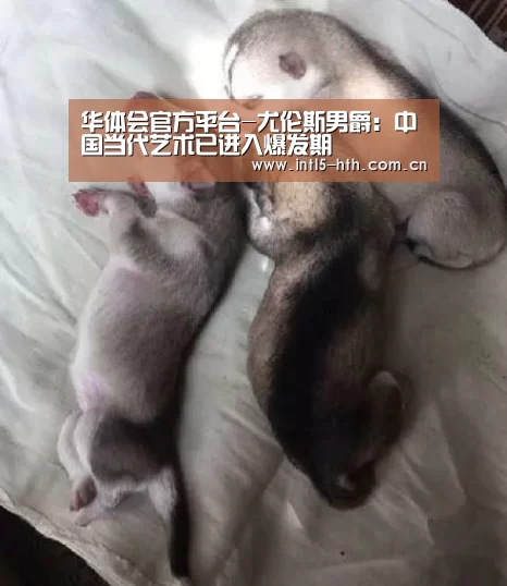 华体会官方网站入口